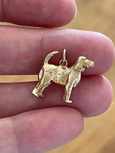 Load image into Gallery viewer, Vintage 14k Yellow Gold Irish Setter Spaniel Dog Charm