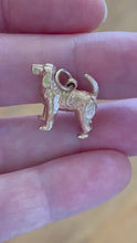 Load image into Gallery viewer, Vintage 14k Yellow Gold Irish Setter Spaniel Dog Charm